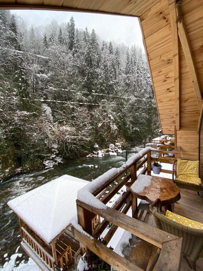 Orman Evi Hosdere *