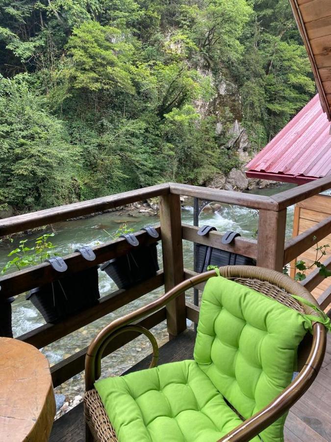 Orman Evi Hosdere Çamlıhemşin