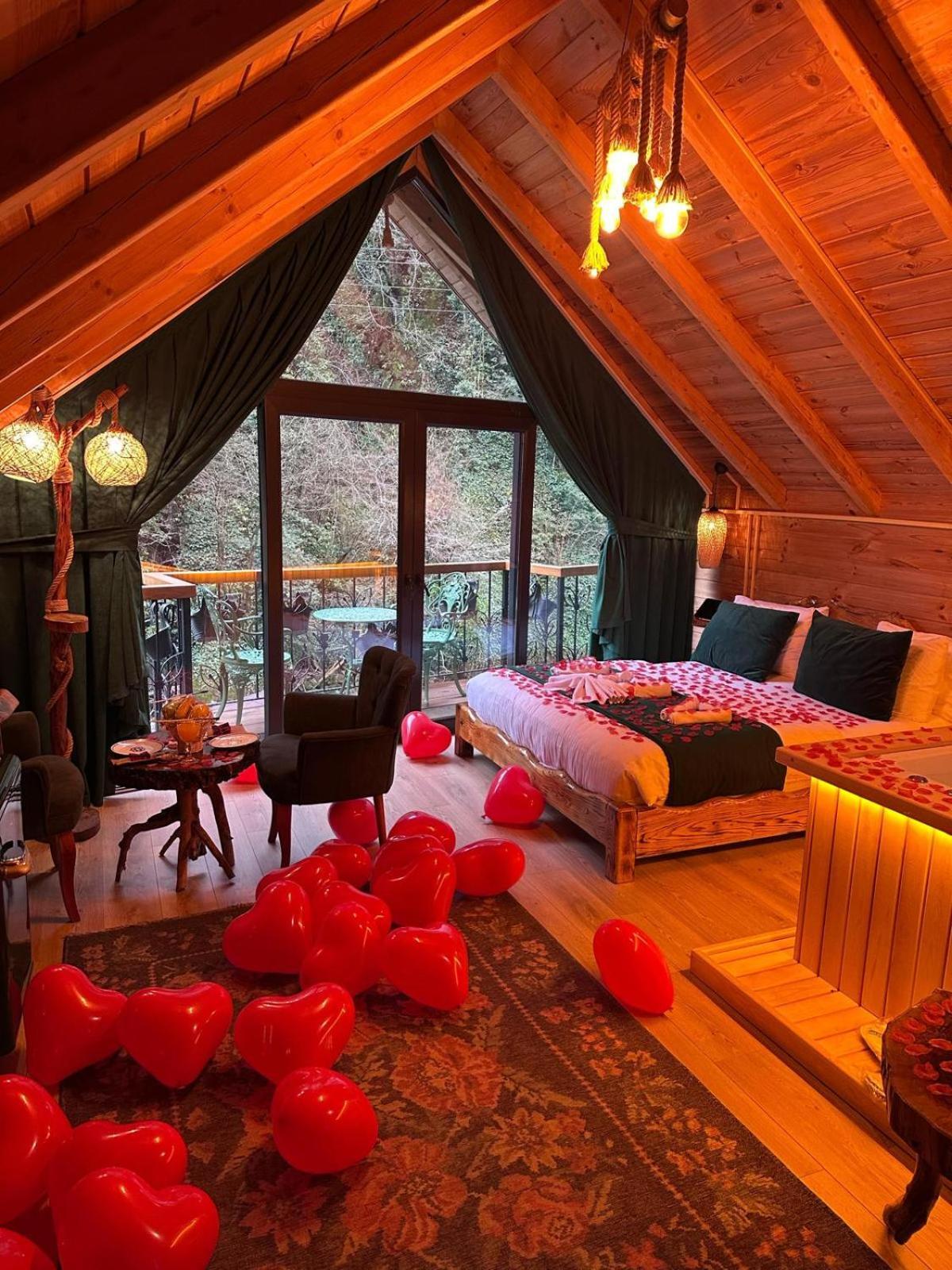 Orman Evi Hosdere Çamlıhemşin